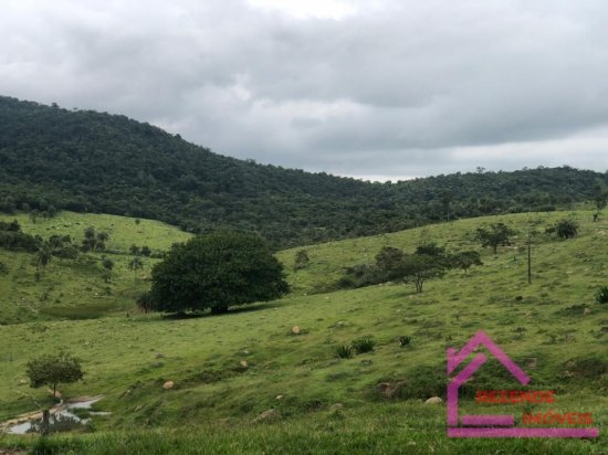 fazenda-venda-rural-mateus-leme-779516