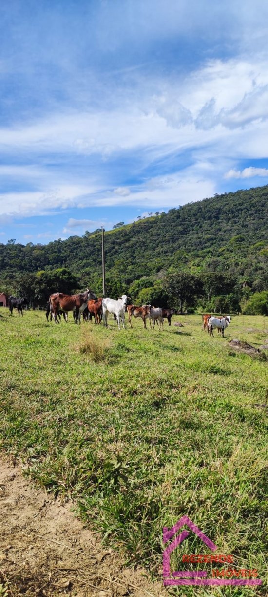 fazenda-venda-rural-mateus-leme-779557