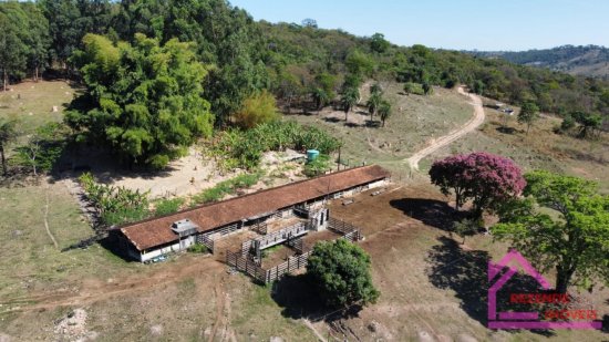 fazenda-venda-rural-mateus-leme-779563