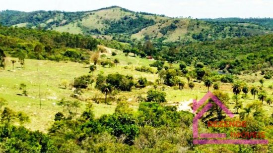 fazenda-venda-rural-mateus-leme-779579