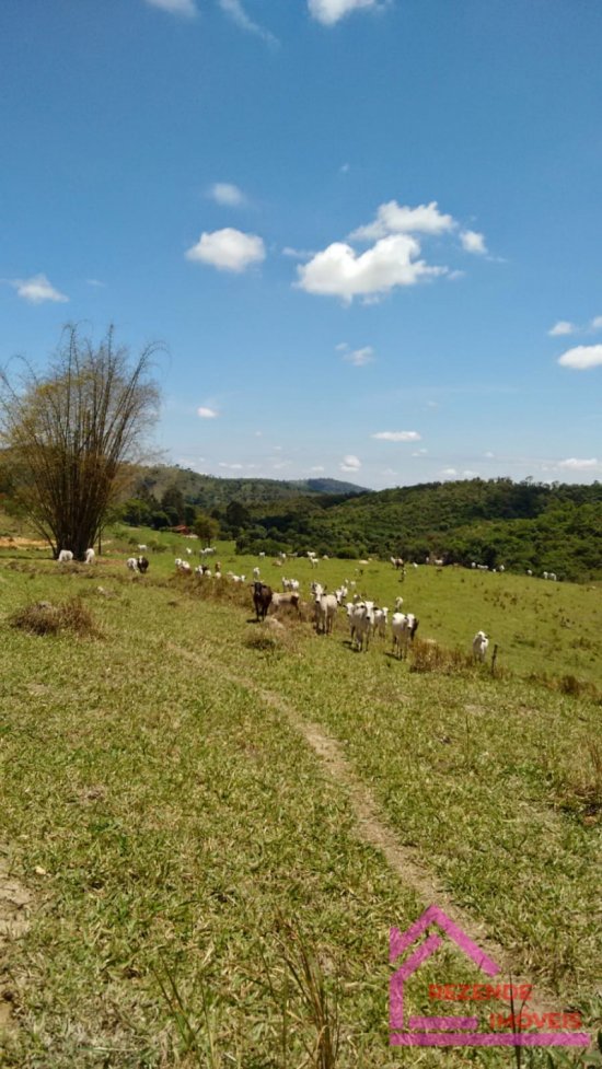 fazenda-venda-rural-mateus-leme-779581