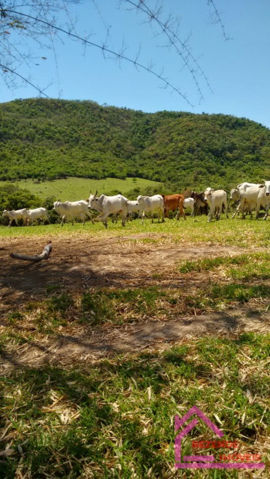 fazenda-venda-rural-mateus-leme-779582