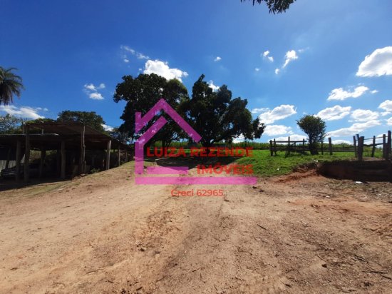 fazenda-venda-rural-florestal-1066840
