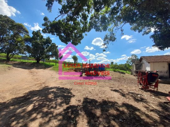 fazenda-venda-rural-florestal-1066841