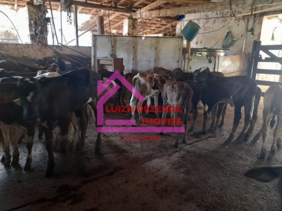 fazenda-venda-rural-florestal-1066842