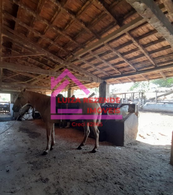 fazenda-venda-rural-florestal-1066844