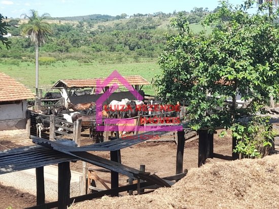 fazenda-venda-rural-florestal-1066845