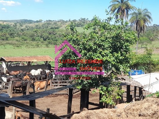 fazenda-venda-rural-florestal-1066846