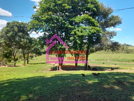 fazenda-venda-rural-florestal-1066849