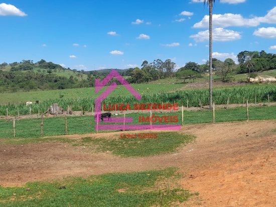 fazenda-venda-rural-florestal-1066850
