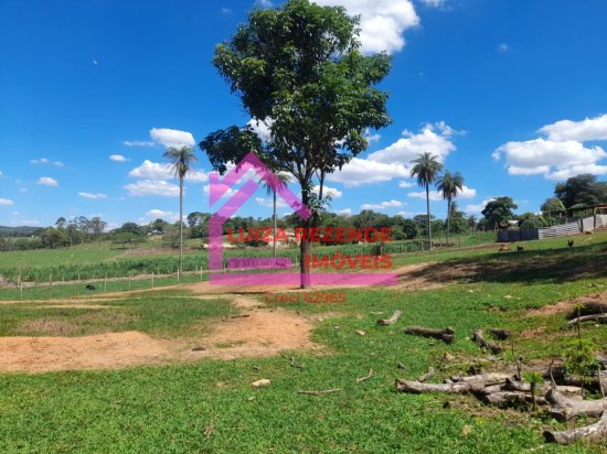 fazenda-venda-rural-florestal-1066851
