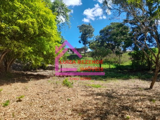 fazenda-venda-rural-florestal-1066886