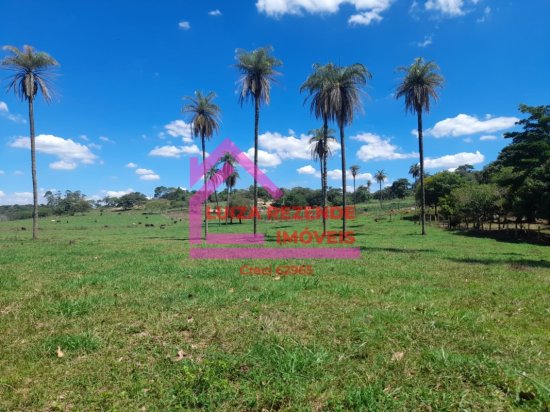 fazenda-venda-rural-florestal-1066887