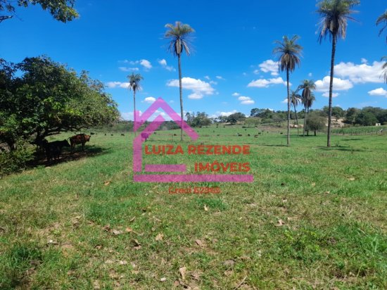 fazenda-venda-rural-florestal-1066888