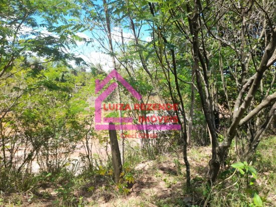 fazenda-venda-rural-florestal-1066889