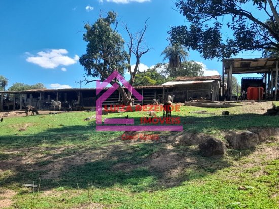 fazenda-venda-rural-florestal-1066879