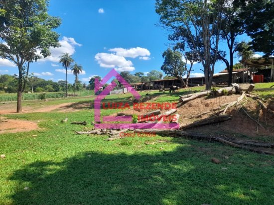 fazenda-venda-rural-florestal-1066883