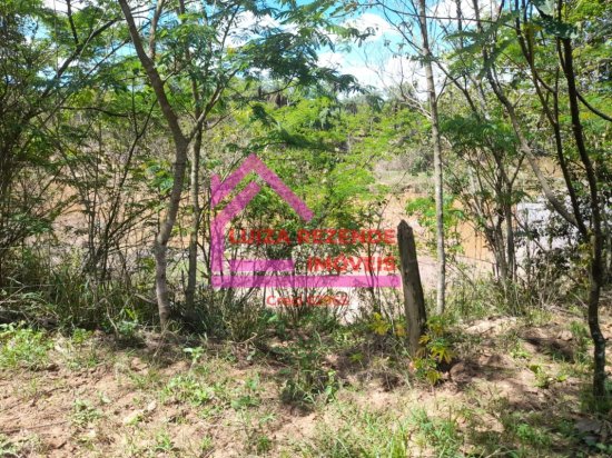 fazenda-venda-rural-florestal-1066892