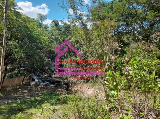 fazenda-venda-rural-florestal-1066895