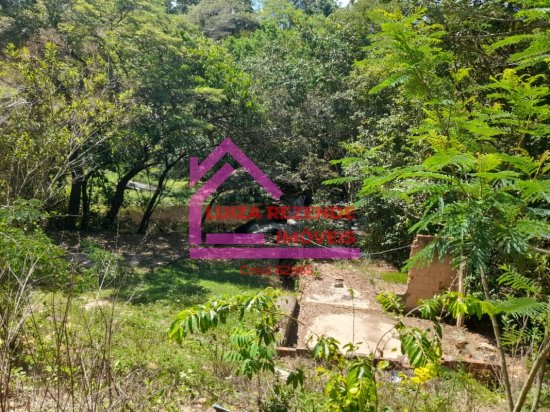 fazenda-venda-rural-florestal-1066898