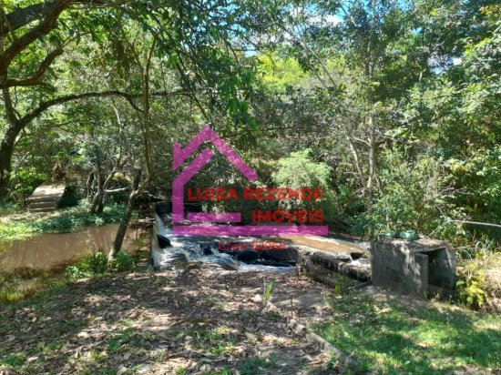 fazenda-venda-rural-florestal-1066899