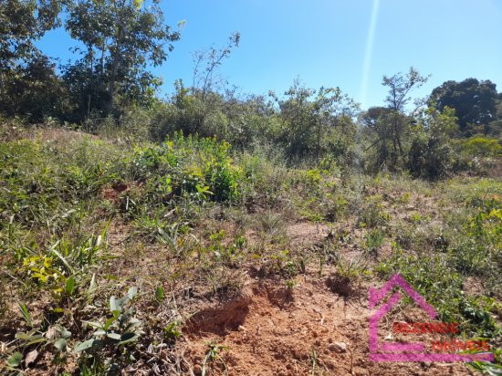 lote-venda-samambaia-nucleo-iii-736524