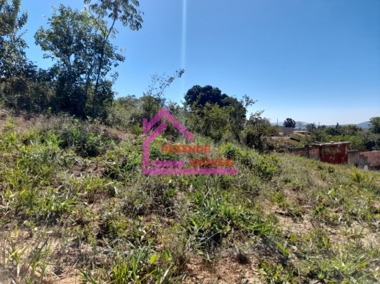 lote-venda-samambaia-nucleo-iii-736586