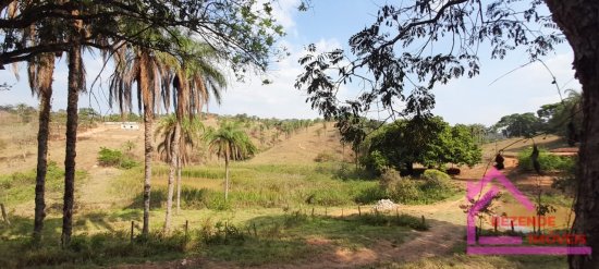 sitio-venda-castelo-branco-juatuba-738100